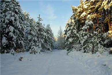 《轩辕剑3外传：天之痕》现已在Steam发售 售价27元